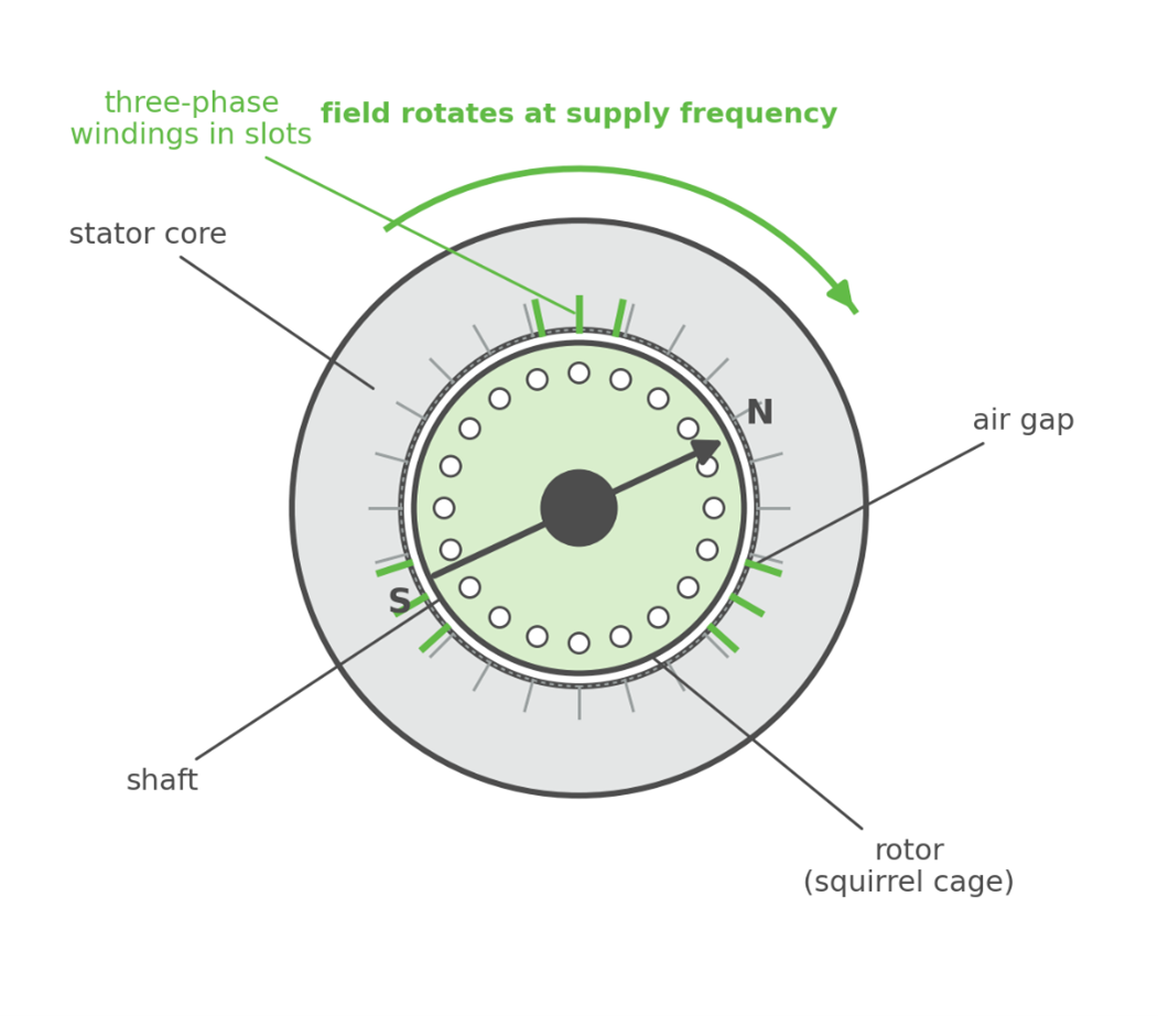 Figure 1Inside a three-phase induction motor. The stator windings set up a rotating field that crosses the air gap and drives the rotor.